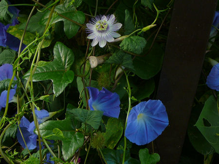 b0002549_13563851.jpg