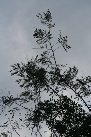 f0175449_2353485.jpg