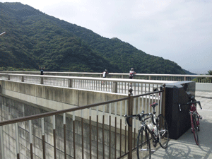 f0229250_20583238.gif