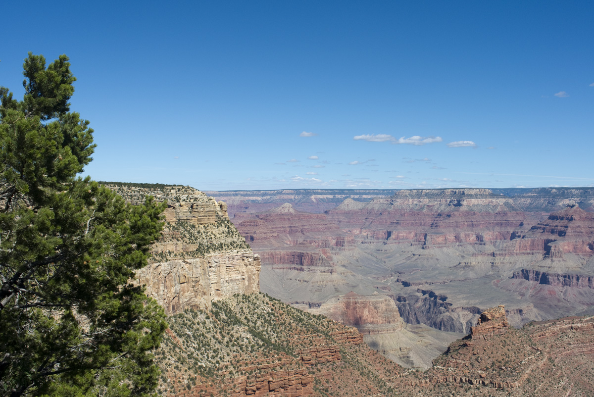 Nature in America vol.4 Grand Canyon El Tovar Hotel with 5Dmk2_c0219256_8133064.jpg