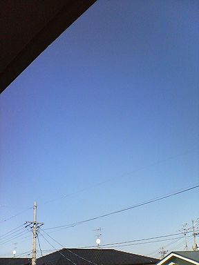 a0096557_1333113.jpg