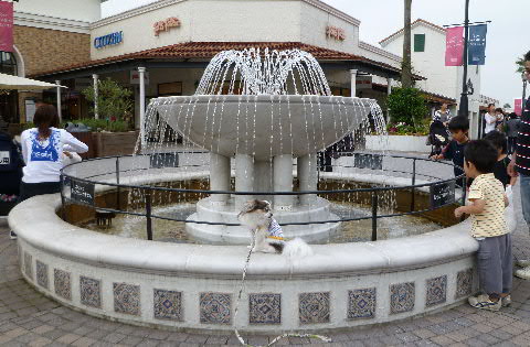 b0137459_2192693.jpg
