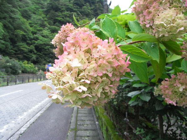 b0194267_20104464.jpg