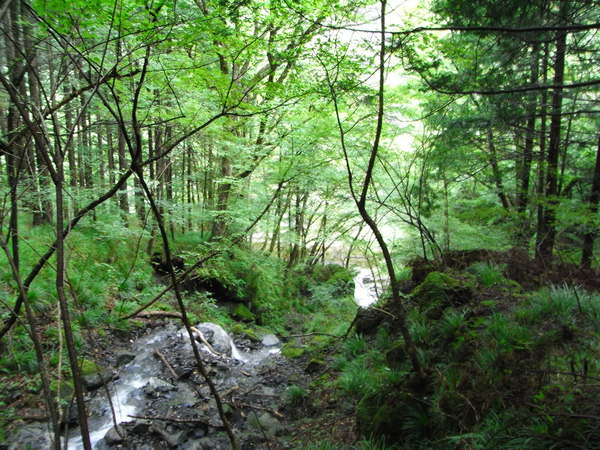 b0194267_20343216.jpg