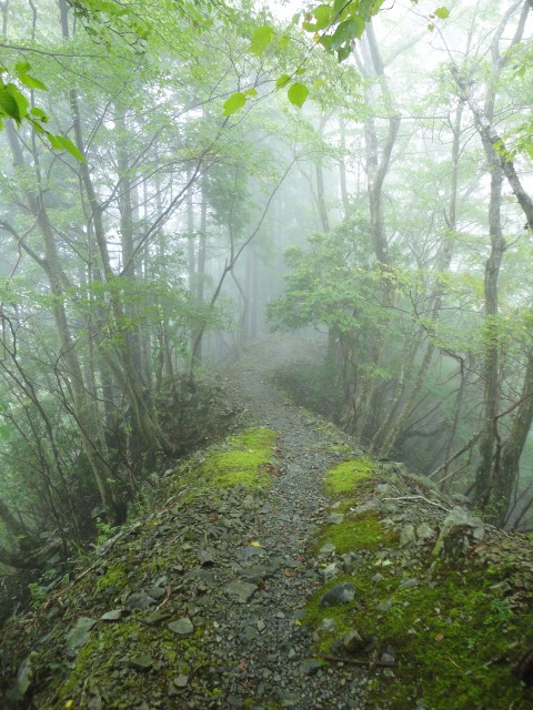 2010年10月1日　ユーシンから塔ノ岳へ　単独日帰りハイキング_f0238475_22313145.jpg