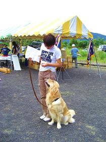 静岡県訓練王座競技会へ行ってきました。_e0100584_012758.jpg