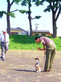 静岡県訓練王座競技会へ行ってきました。_e0100584_044213.jpg