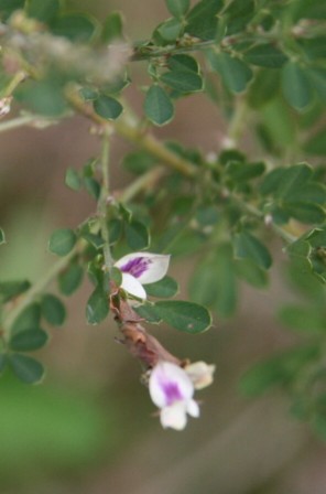 c0144185_1621925.jpg