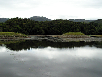 e0066586_7105962.jpg