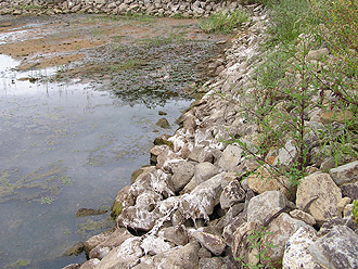 e0066586_7111785.jpg