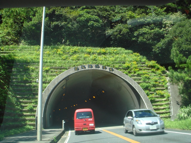 c0139388_20101937.jpg