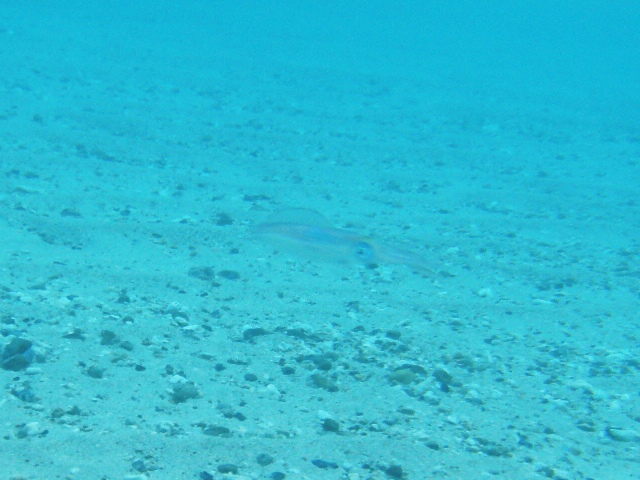 c0139388_2059293.jpg
