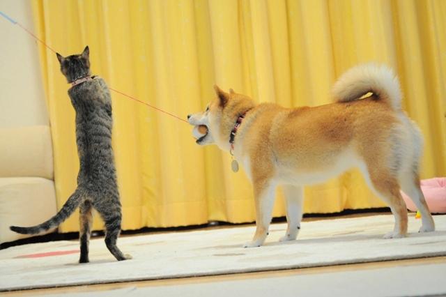 力を合わせて!_a0126590_0111617.jpg