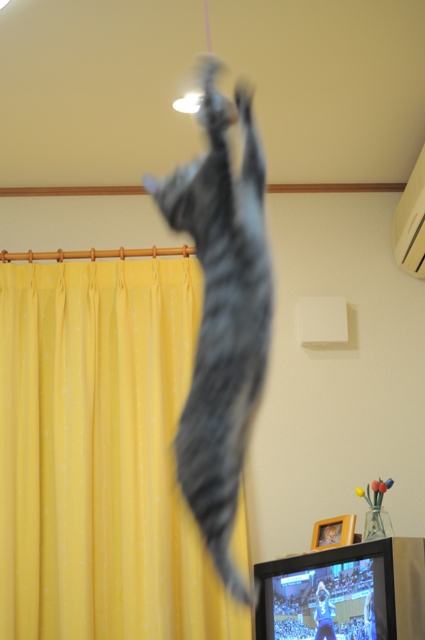 力を合わせて!_a0126590_052126.jpg