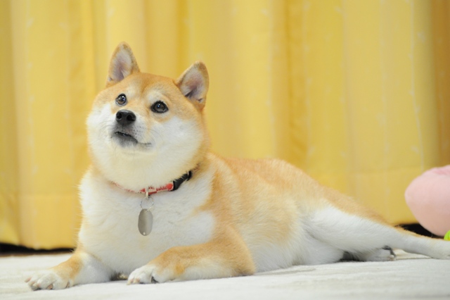 力を合わせて!_a0126590_0532275.jpg