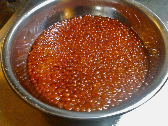 b0199097_2026408.jpg