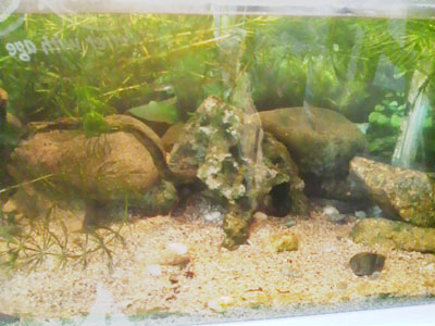 f0082402_15205624.jpg