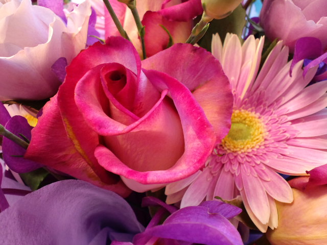 a0088007_23312416.jpg