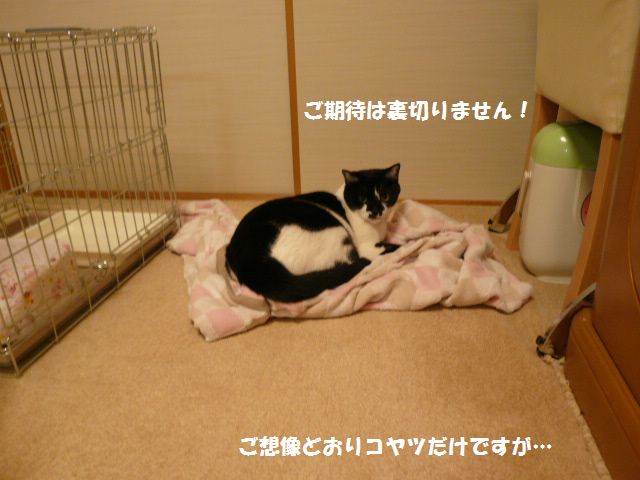 e0094407_0453999.jpg