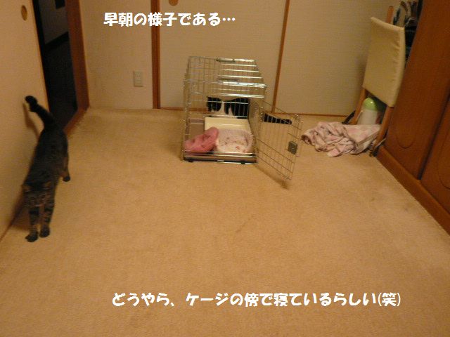 e0094407_0533396.jpg