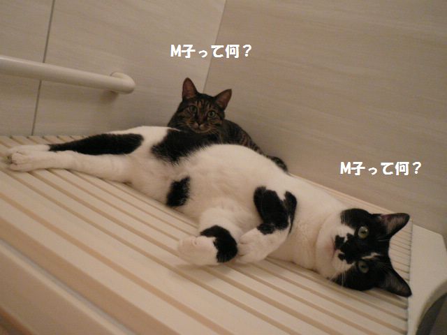 e0094407_122422.jpg