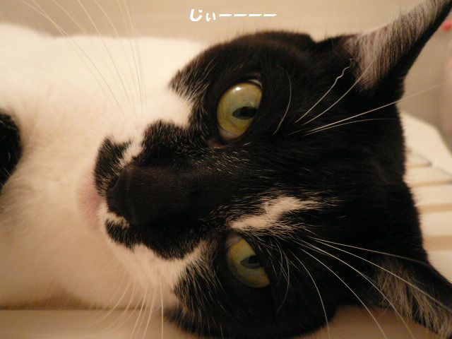 e0094407_1261544.jpg