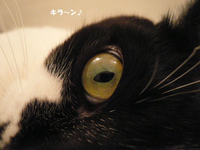 e0094407_129434.jpg