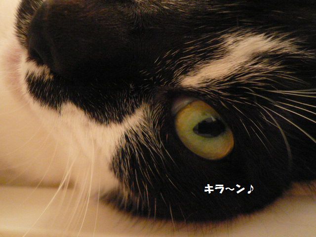e0094407_1303630.jpg