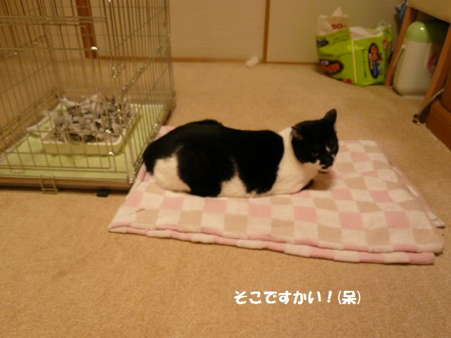 e0094407_1442796.jpg