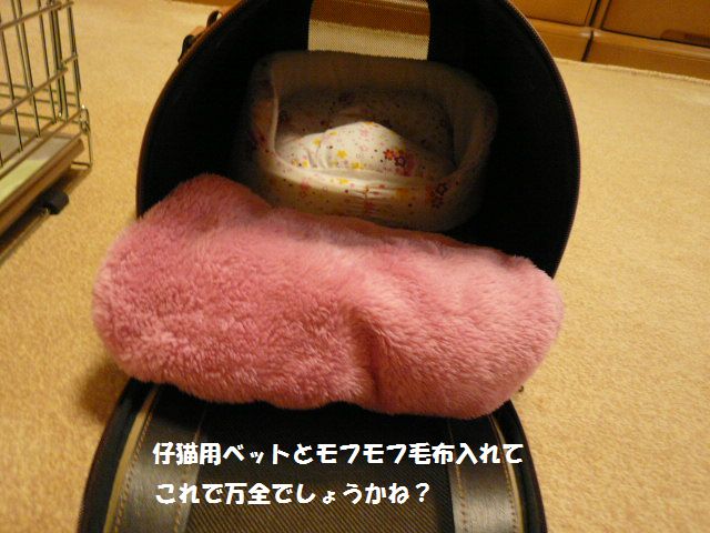 e0094407_1492356.jpg