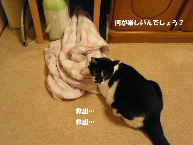 e0094407_164384.jpg