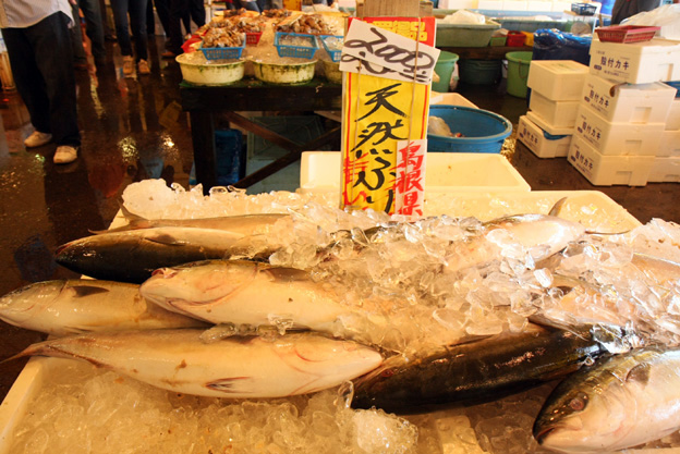 那珂湊魚市場_f0137508_10184514.jpg