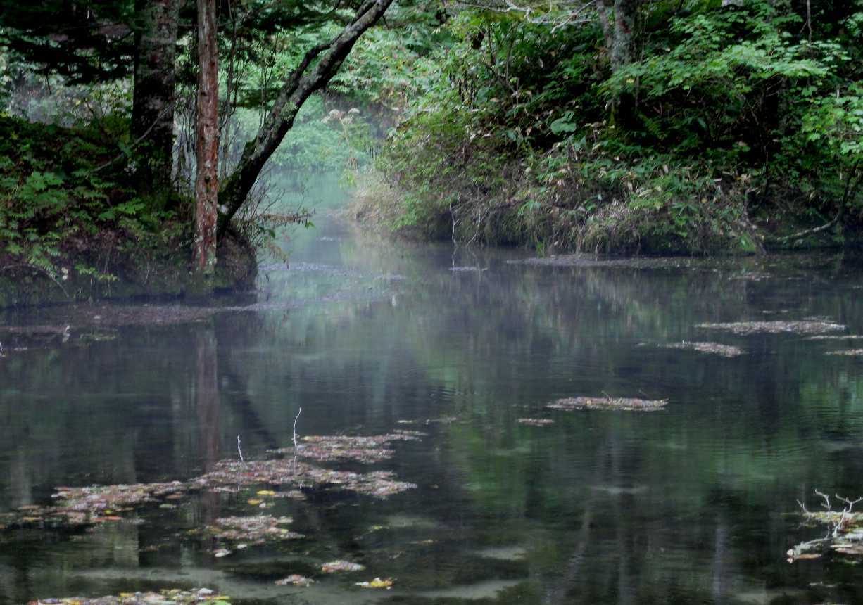 e0003910_1756246.jpg