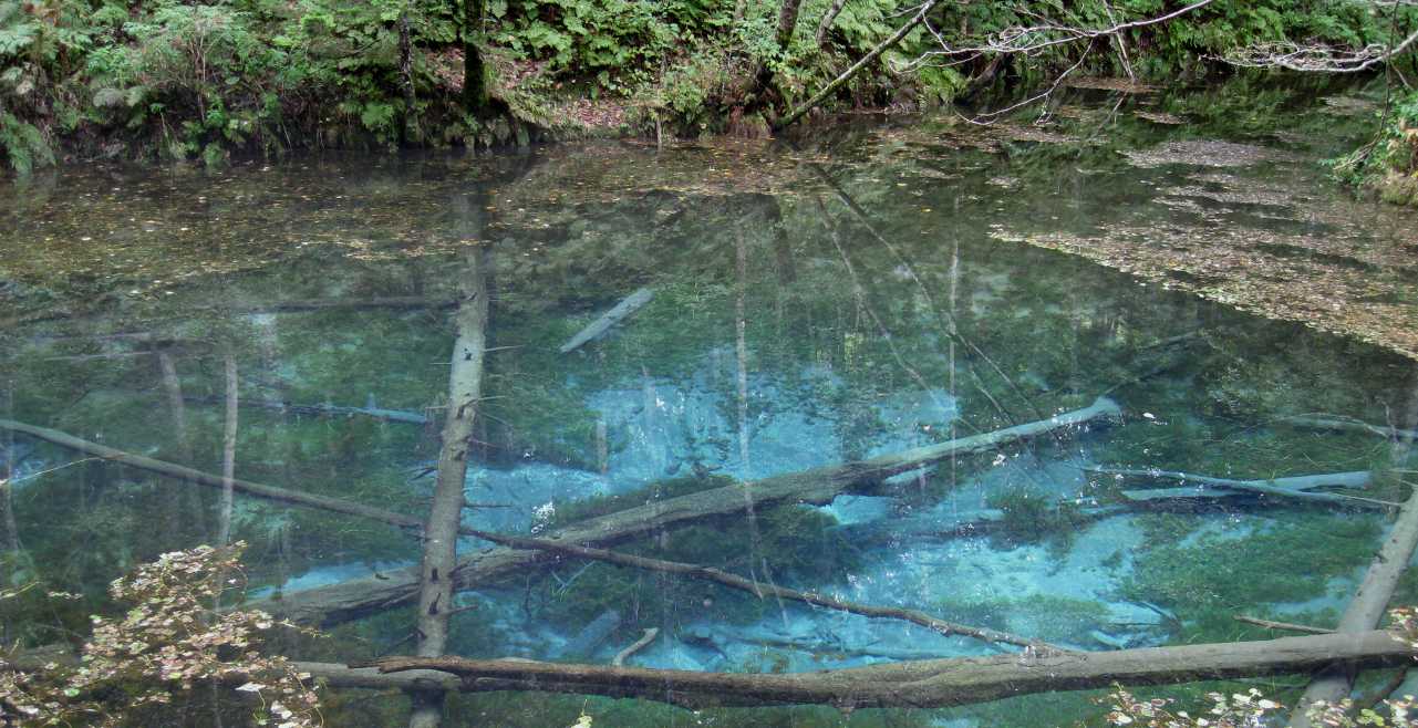 e0003910_17562865.jpg