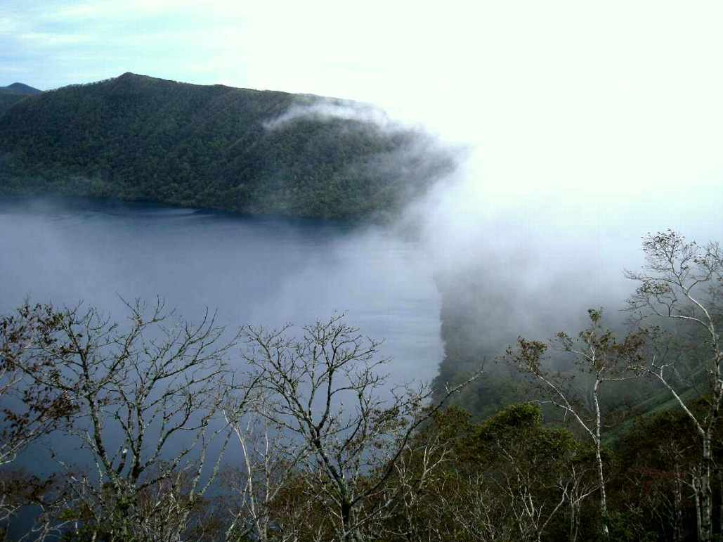 e0003910_7335975.jpg