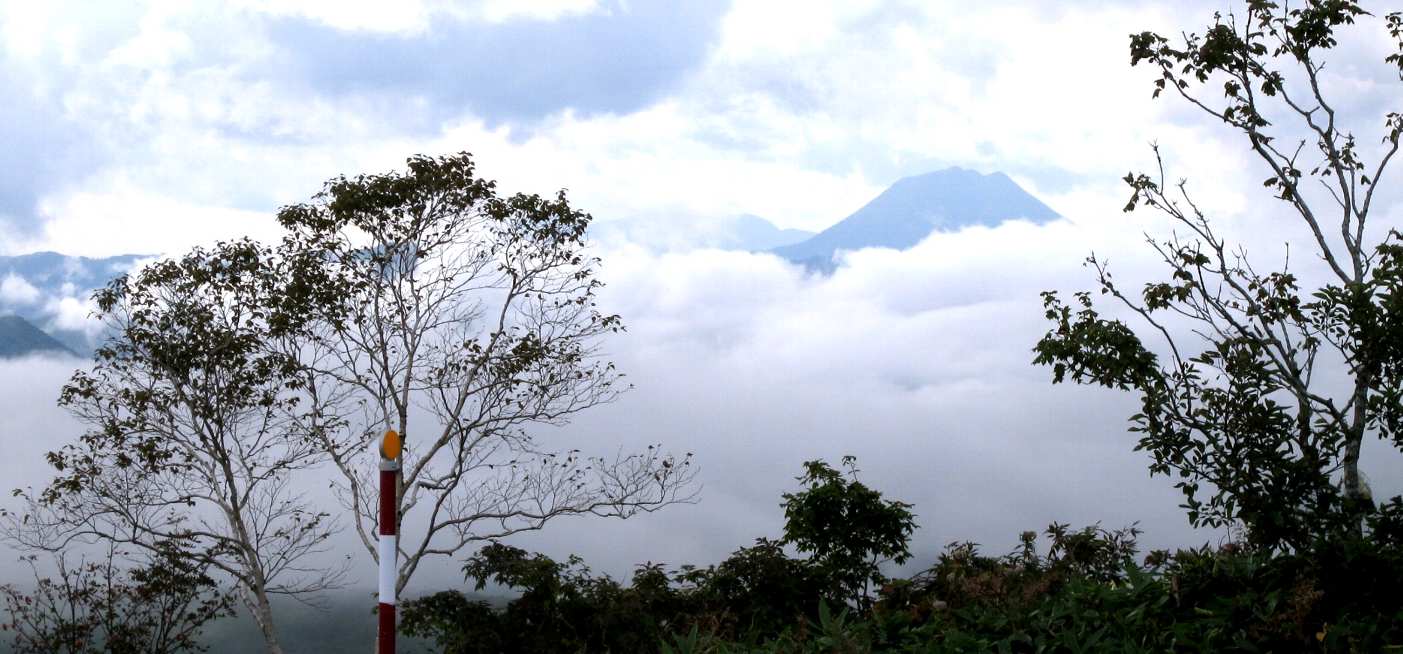 e0003910_7361517.jpg