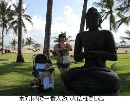バリ島子連れ旅日記 【出発~前半編】_c0182012_14513734.jpg