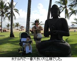 バリ島子連れ旅日記 【出発～前半編】_c0182012_14513734.jpg