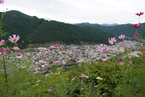 a0031714_17463534.jpg