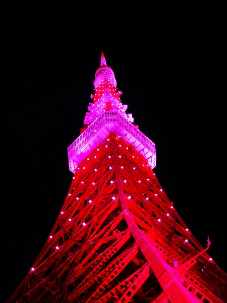 ピンクに染まる東京タワー_c0177814_1712896.jpg