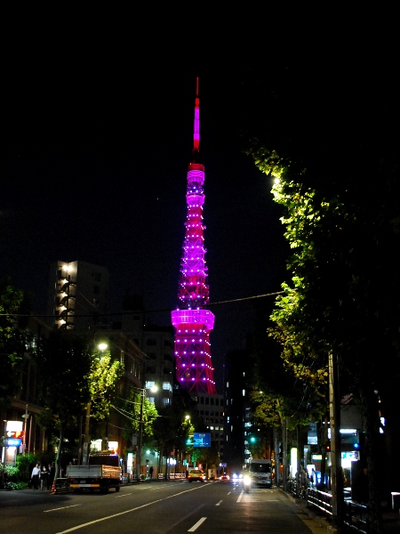 ピンクに染まる東京タワー_c0177814_17302944.jpg