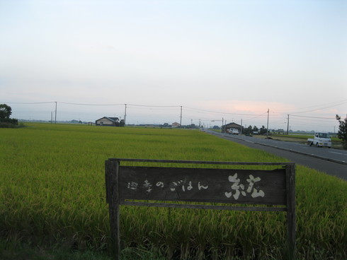 a0125419_22123227.jpg