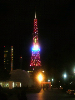 毛ガニ_e0124021_7412659.jpg
