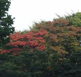 e0201021_09191.jpg