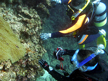 d0107725_0455582.jpg