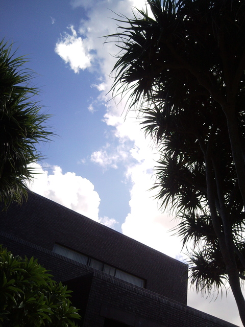 f0197325_15696.jpg