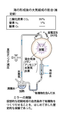 Heaven Insite S Blog 生物学概説覚え書き
