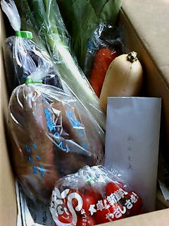 野菜が届きました。_b0204930_18405833.jpg