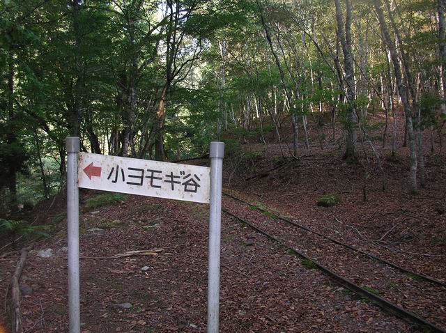 c0029332_2352530.jpg