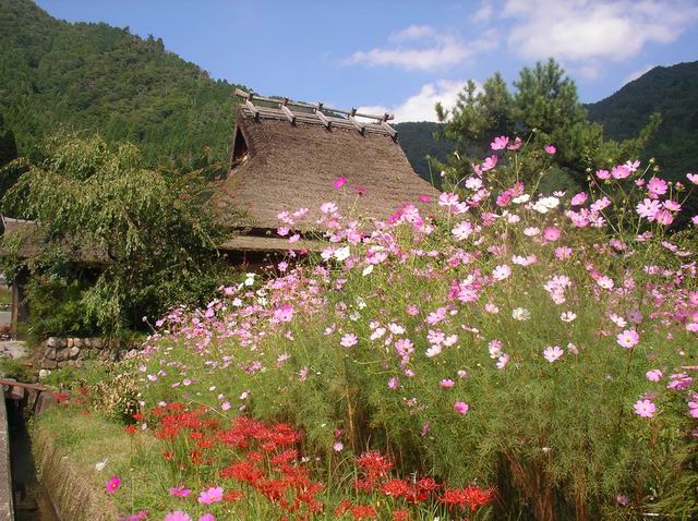 c0029332_236610.jpg